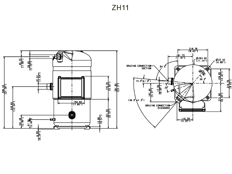  zh11