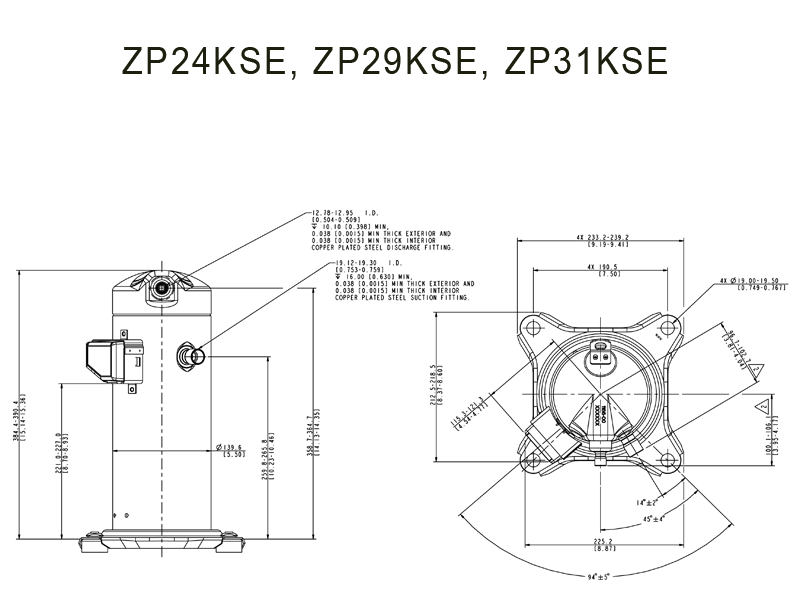  zp24-29-31