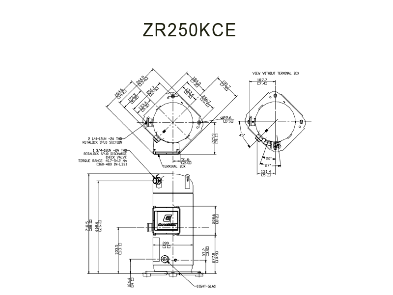  zr250